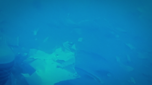 8128c3afbbba235652603233e8b8495c.png