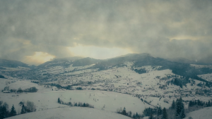 aff501d787b6816cfcc5ef6cfad9050e.png