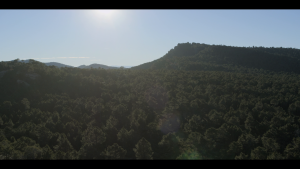 12efc6bdf873fcf070902af007a20cba.png
