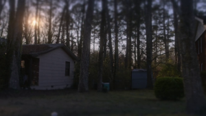 3c9aa73de59009e797f44ea9479dbeb6.png