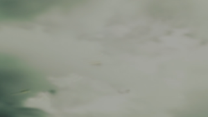 de3130fafc9c9fe3a54bfa03c57fd129.png