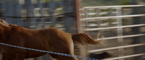 3a006a023551e051a23af04327245fa2.png