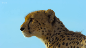 7f0dd7830184e2c72f87006084bc4bb8.png