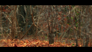 aeb534876e2821363c60afd10058ec7c.png