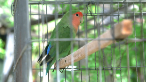 f2ab2ff4aa94b6a1ba9d19d52203b67c.png