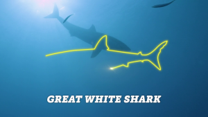 eb98088c6ebc6adcdedff062b1ea4e2d.png