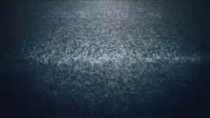 f5561f602fc950a76f936f45c7cbba93.png