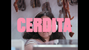 de066b2cefc22794e73e6f3adfe960a0.png