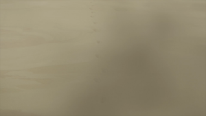 177ece02d1fca6f2a469fdb6d12d41da.png