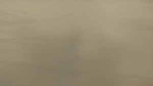 a72dff0b78c82c2f7648488e05806993.png