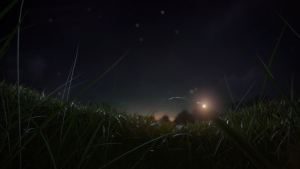 b3036c542b2f03f454600918d4ce2a33.png