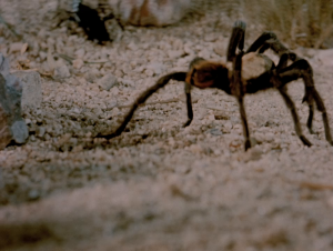 5b936ab40924b120cf97ccbc986a201a.png