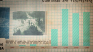 60899167afd41c62a4226a5f02981d9c.png