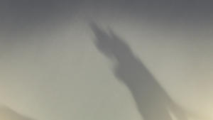 1d43f29af197962253db4e30bb8196a8.png