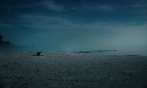 810e2194d3741a9164c4350370e480f3.png
