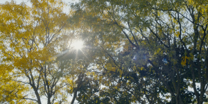 c07729052ec80933c98f3853302b93ff.png