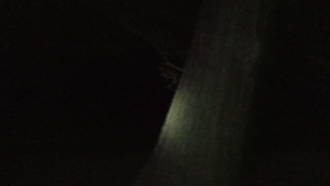 a23e5297c283393e7af04874c50e35fc.png