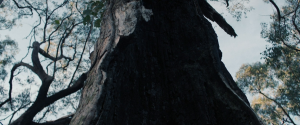 70666733f224fc7e75352d89000b8dfd.png