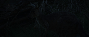 b791dc5916454b41dc284ca6e3d11e5c.png