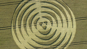 0c2836995b6861b061f2013ce4605895.png