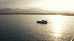 24d335cdf6223cd73f7528e68e215019.png