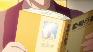 b40f52ec42f65b992019db22fdbf16fa.png