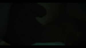1688ba37cadb8b3ec486ad2786689099.png