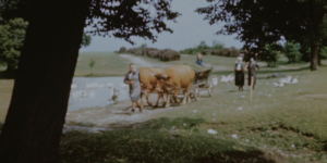 5278a35ab7e0d124d90a64dbf862506d.png