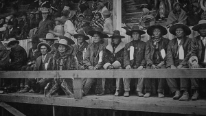 c328e8c4942ef9e31a4d64c63c634d35.png