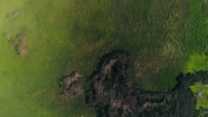 a2818a1bb4cbe57c83ea7fd6ce41047f.png