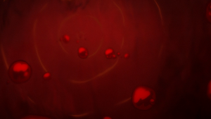 950795addb3cb7c8f22b9cc5882b6ba7.png