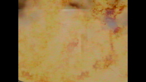 c804ac425d49fc9c5adc7f72bd732f49.png
