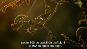 32a3baf97c4f81a734a76636066206b8.png