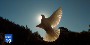 5f6098d028c9bc54f2d6a25b58e7dfd2.png