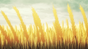 e874d63dfb3f3776d01cd9ba5b2cf7f3.png
