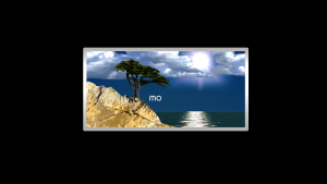 45d5a388bb272fb048c8e56053a88698.png