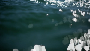 2ba1bbfbce4d5e1239eb1c6ad90160c4.png