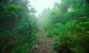 cea88491f9018c5992d2659683b5da1a.png