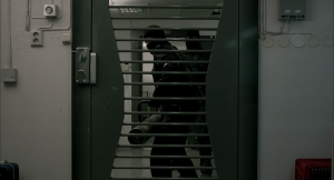 d1f8571d8c8d19ea7af58a51e88ac3a1.png