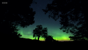 1260ab9670f61f7d88ab88c49425ee8b.png