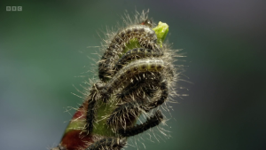 d52d945041e3ab3cefad95fe7167541c.png