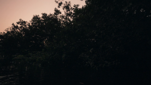 f45aa5710fd634e3a5b7d8b2330523fd.png