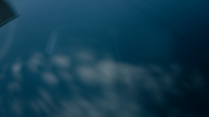 f56fcb613d43348479f9854a0638e2dd.png