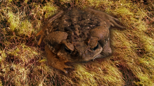 746f4d54edd4ed7d4aca4bbeeed4ca0b.png