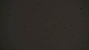 8f8dba94a6a585361649475e7158844b.png