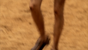 fde216d489ffcb0563a3600bdf760887.png