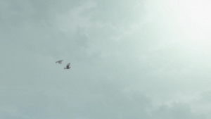 1771c670ca07366ab09794500b57f5e4.png