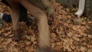 9f23fb42f95ba9f3f55d911ef40f2e74.png