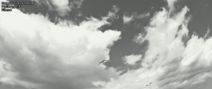 5be73f09484f3672b7436d10c550f680.png