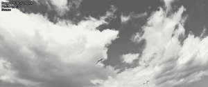 d1e158a8438dab3d33935b2422ba3784.png